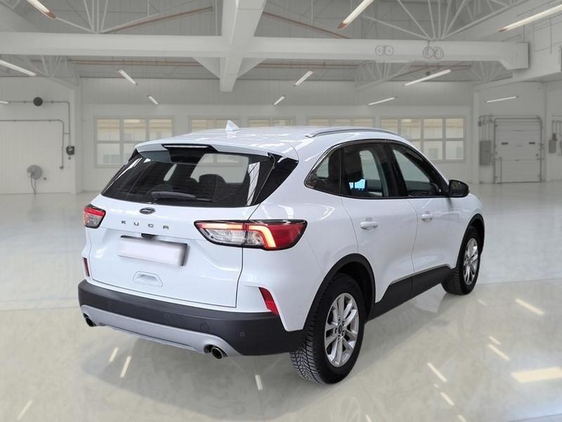 FORD KUGA 1.5 EcoBlue 120CV 2WD Titanium Business