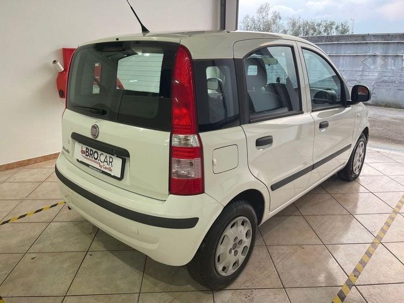 FIAT Panda Panda 1.2 69cv Classic