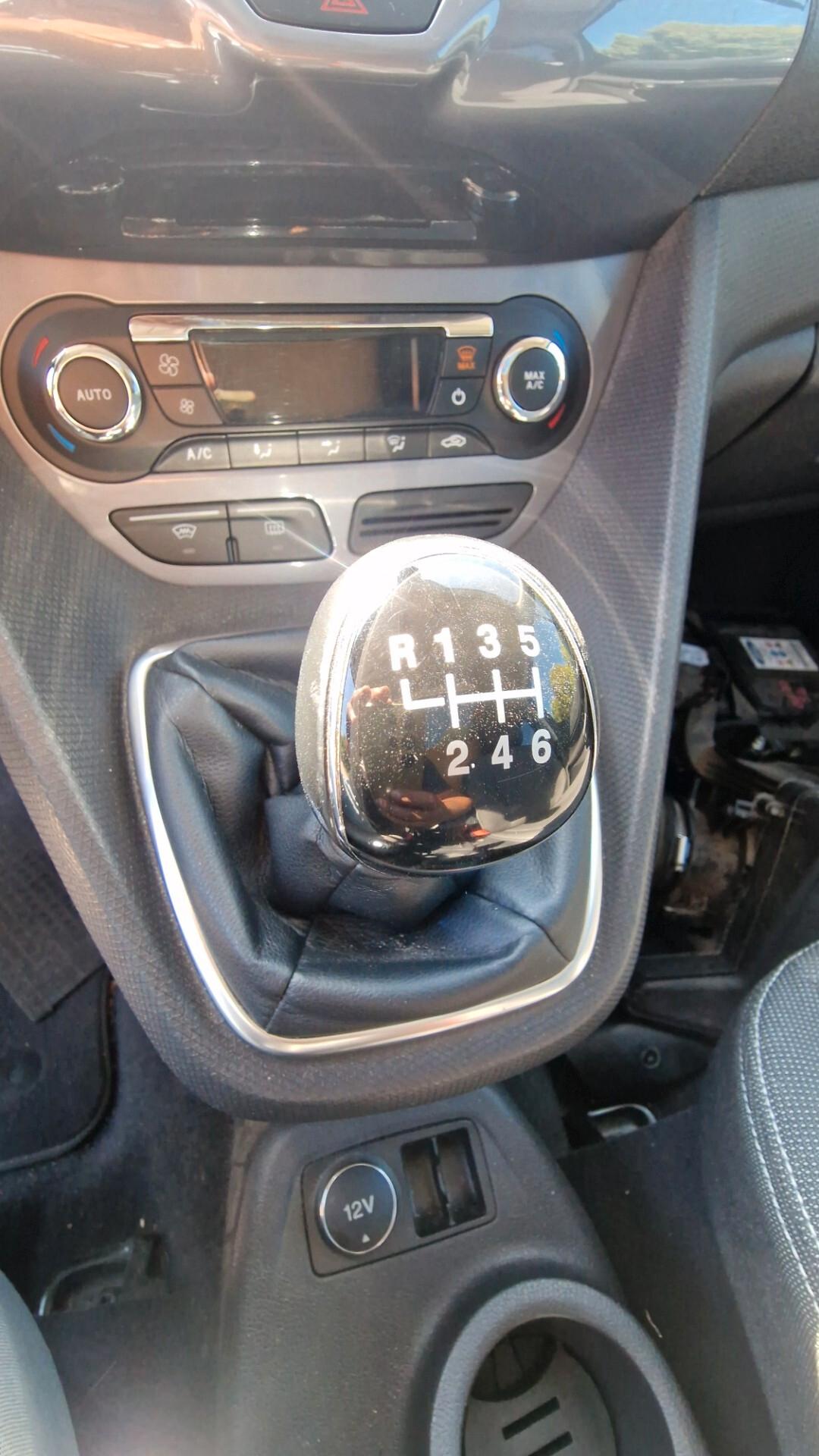 Ford Tourneo Connect Tourneo Connect 1.6 TDCi 115 CV Titanium