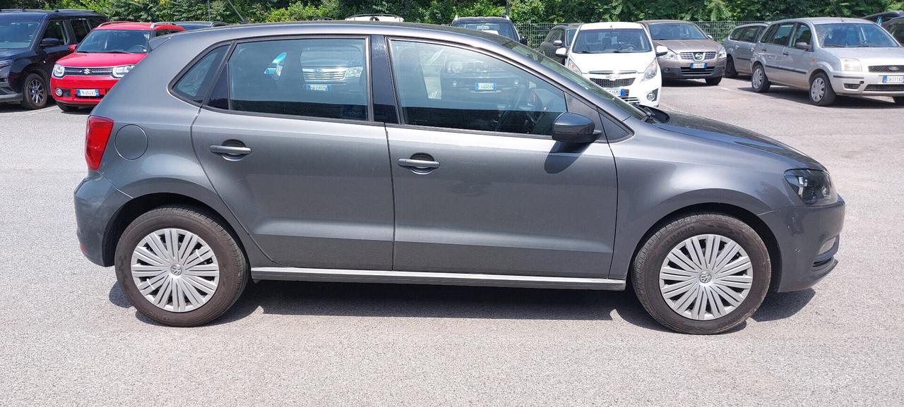 Volkswagen Polo 1.2 5 porte Trendline
