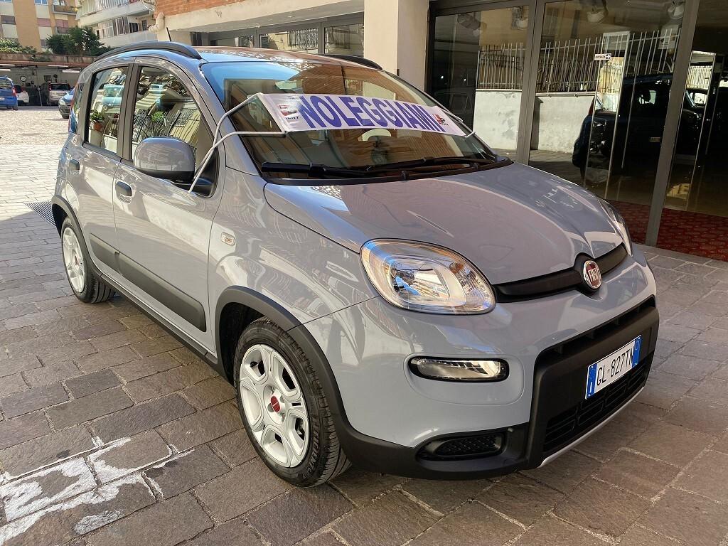 FIAT Panda 1.0 FireFly 5 porte S&S Hybrid