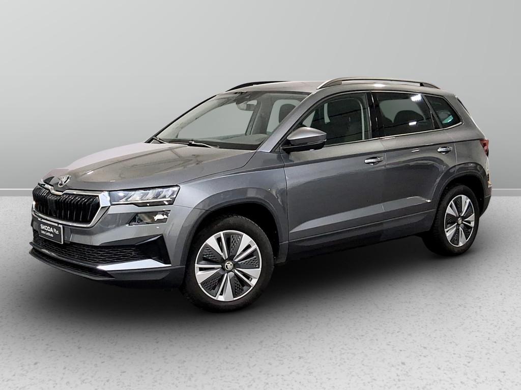 Skoda Karoq 2.0 tdi evo Executive 4x4 150cv dsg