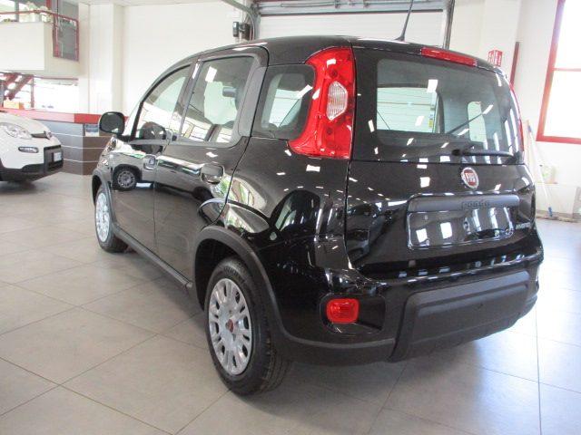 FIAT Panda 1.0 FireFly S&S Hybrid _ KM ZERO