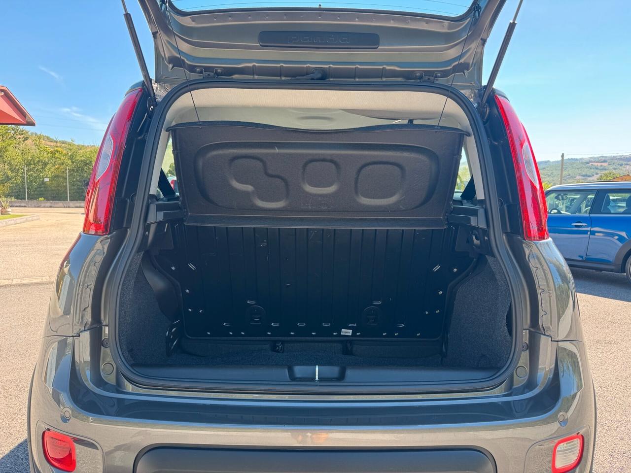 Fiat Panda 1.0 FireFly S&S Hybrid