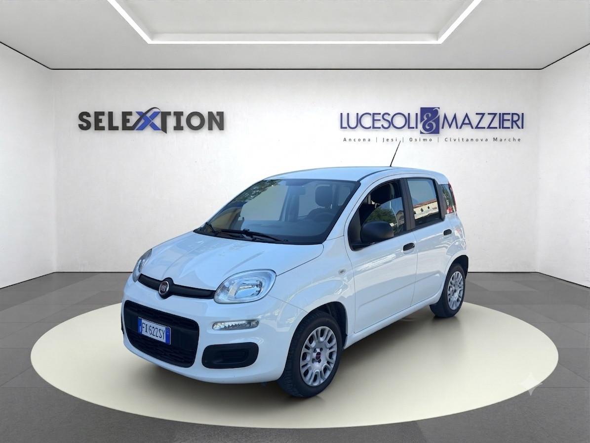 FIAT Panda 3ª serie - Panda 1.2 Easy