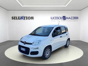 FIAT Panda 3ª serie - Panda 1.2 Easy