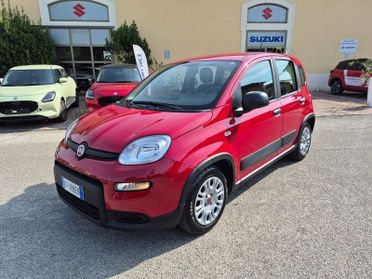 FIAT Panda Panda 1.0 firefly hybrid s&s 70cv 5p.ti