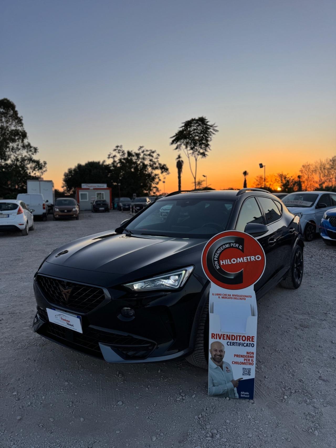 Cupra Formentor 2.0 TDI 4Drive DSG