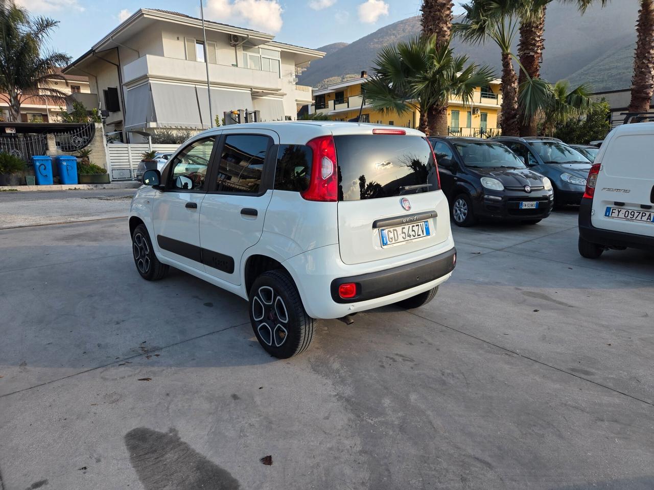 Fiat Panda 900 BENZINA S&S 4x4 - 2021 ACCESSORIATA