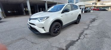 Toyota RAV 4 RAV4 2.5 Hybrid 2WD Lounge