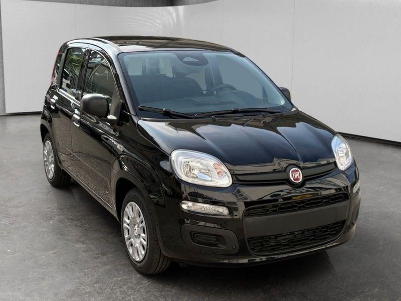 FIAT Pandina 1.0 firefly hybrid Icon s&s 70cv