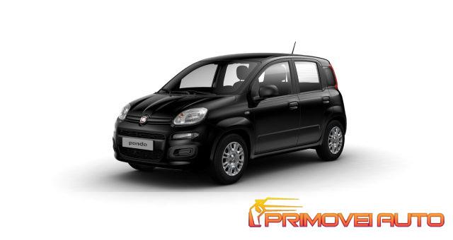 FIAT Panda 1.0 FireFly S&S Hybrid Pandina