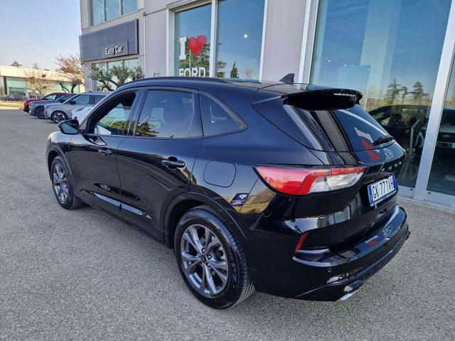 FORD Kuga 1.5 EcoBlue 120 CV 2WD ST-Line