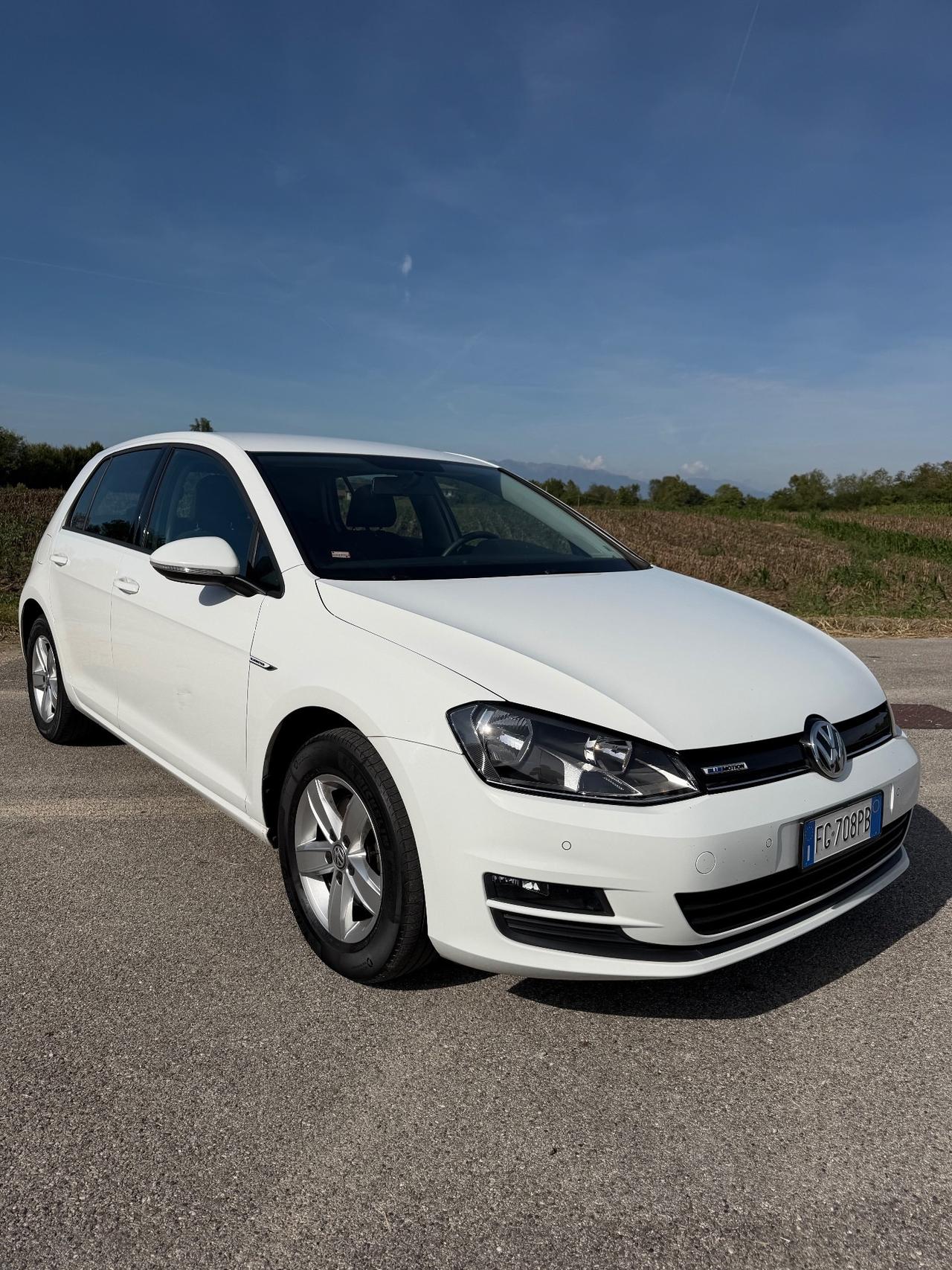 Volkswagen Golf 1.4 TGI 5p. Executive BlueMotion