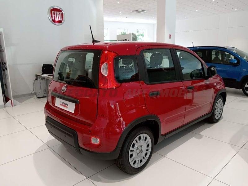 FIAT Panda Panda 1.0 70cv Hybrid Panda