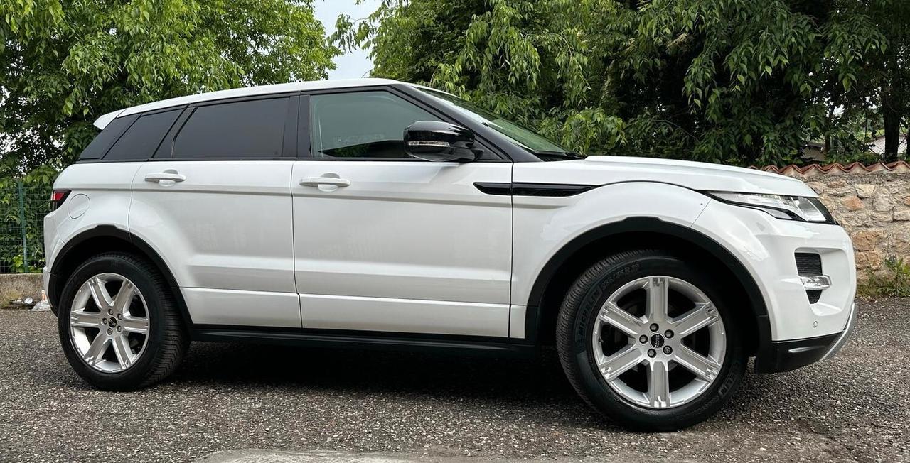 Land Rover Range Rover Evoque 2.2 Sd4 5p. Pure