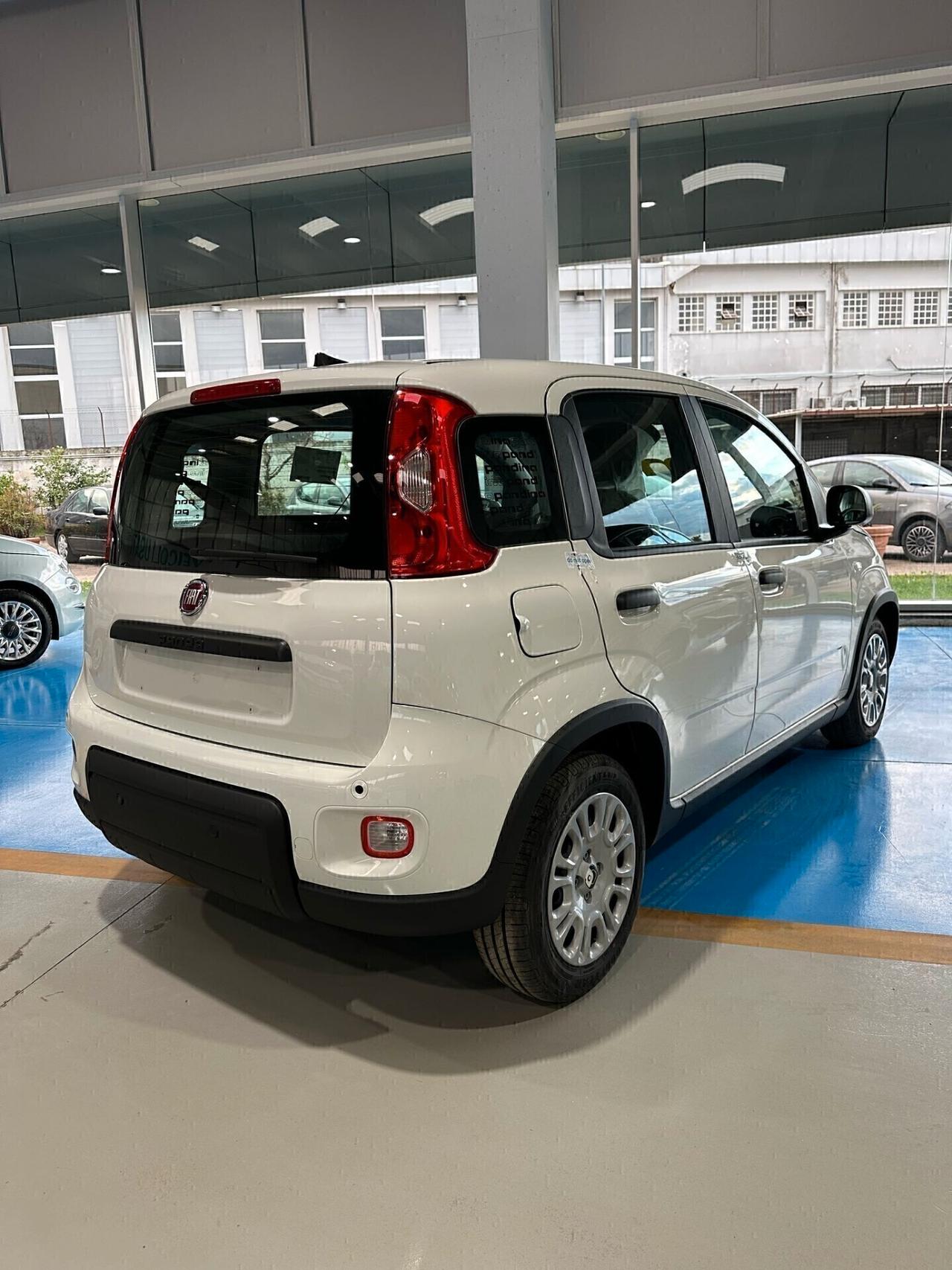 Fiat Panda 1.0 70cv Hybrid PANDINA KM 0 2024
