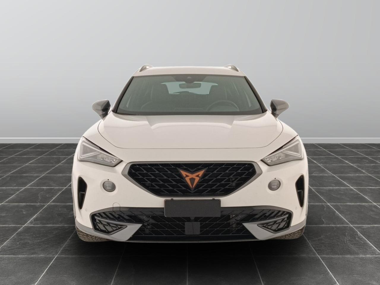 Cupra Formentor 2.0 tdi 150cv