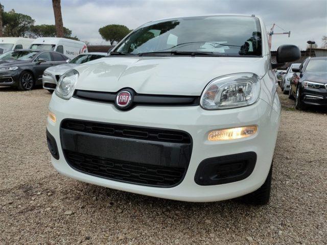 FIAT Panda 1.2 69cv CLIMATIZZATORE OK NEOPATENTATI ..