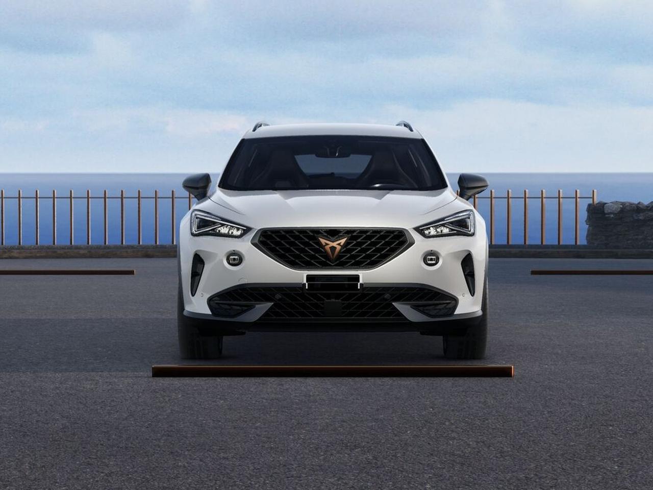 Cupra Formentor 1.4 e-hybrid vz dsg