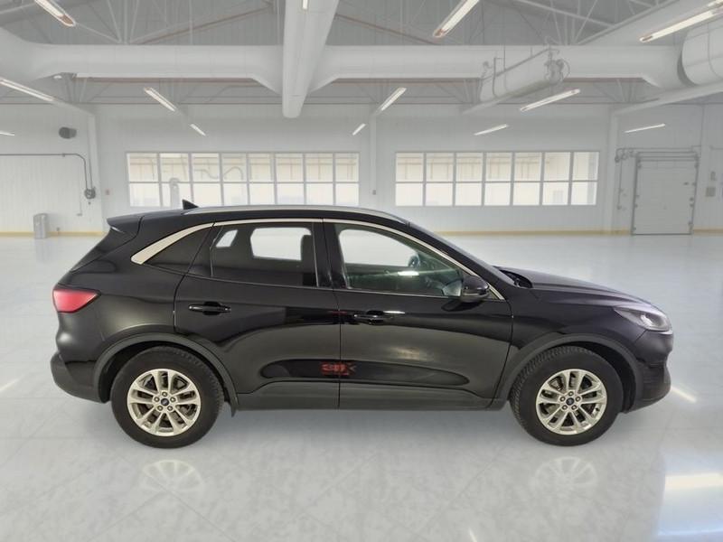 FORD KUGA 1.5 EcoBlue 120CV 2WD Titanium Business Auto