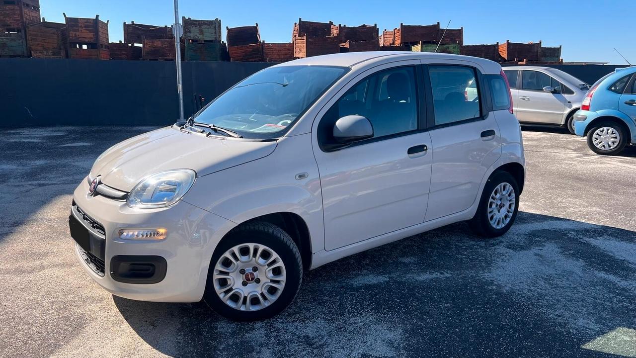 Fiat Panda 1.2 Easy NEOPATENTATI-UNICO PROPRIETARIO