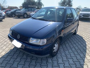 Volkswagen Polo 1.3 cat 5 porte Comfort