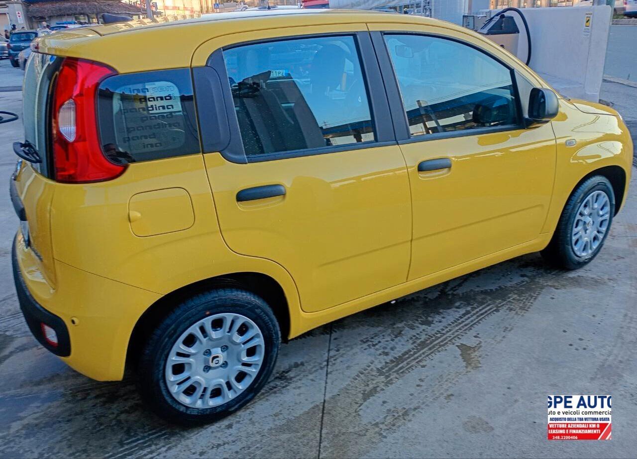 Fiat Panda PANDINA 1.0 FireFly S&S Hybrid Icon