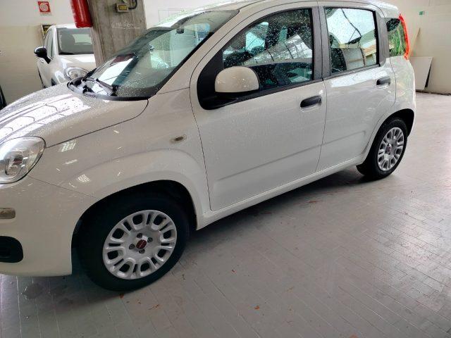 FIAT Panda 1.2 Easy km 9.000