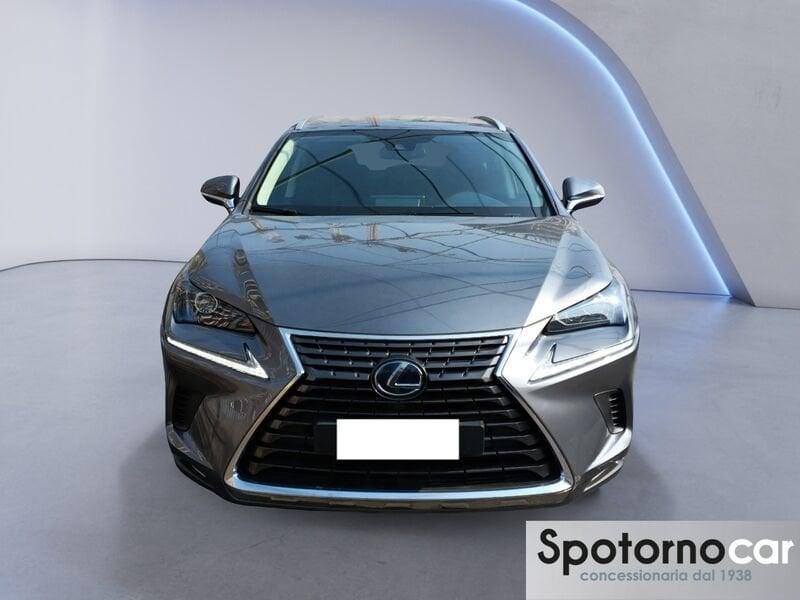 Lexus NX NX Hybrid Business