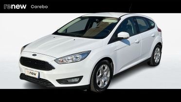 Ford Focus 5 Porte 1.6 120cv Plus