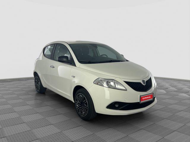 LANCIA Ypsilon Ypsilon 1.2 69 CV 5 porte S&S Gold