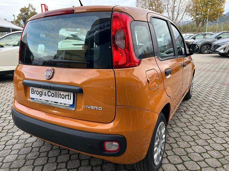 FIAT Panda 1.0 firefly hybrid City Life s&s 70cv