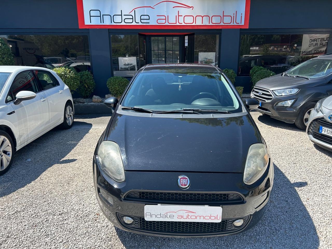 Fiat Punto 1.3 MTJ 5P Lounge