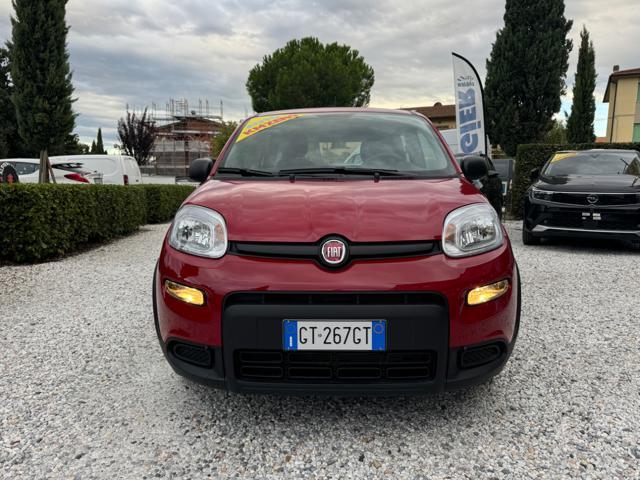 FIAT Panda 1.0 FireFly Hybrid 70cv S&S MT6 - KmZero