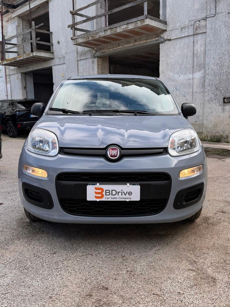 FIAT Panda 3ª serie Panda 1.0 FireFly S&S Hybrid