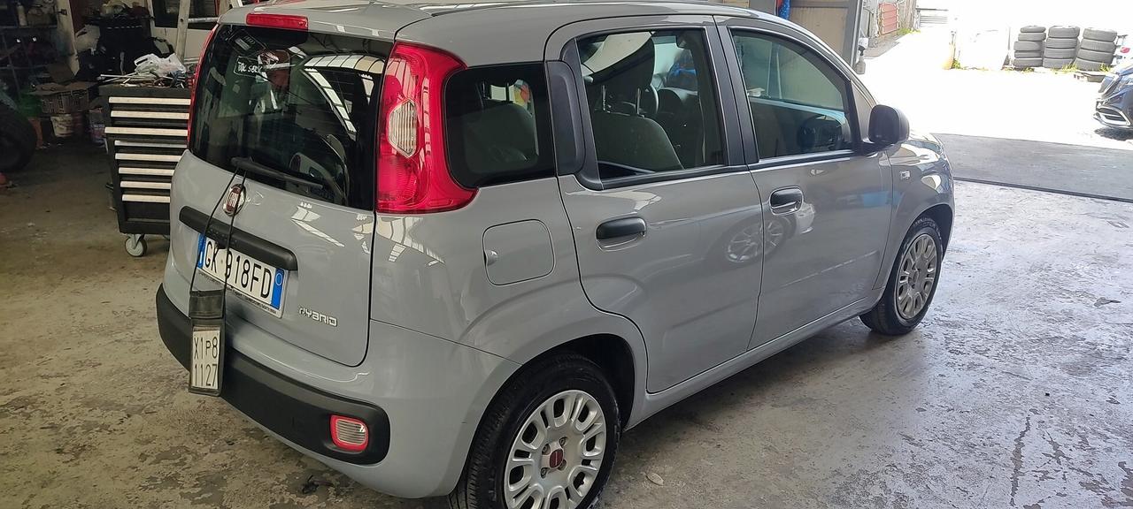 FIAT PANDA 1.0 HYBRID 2022