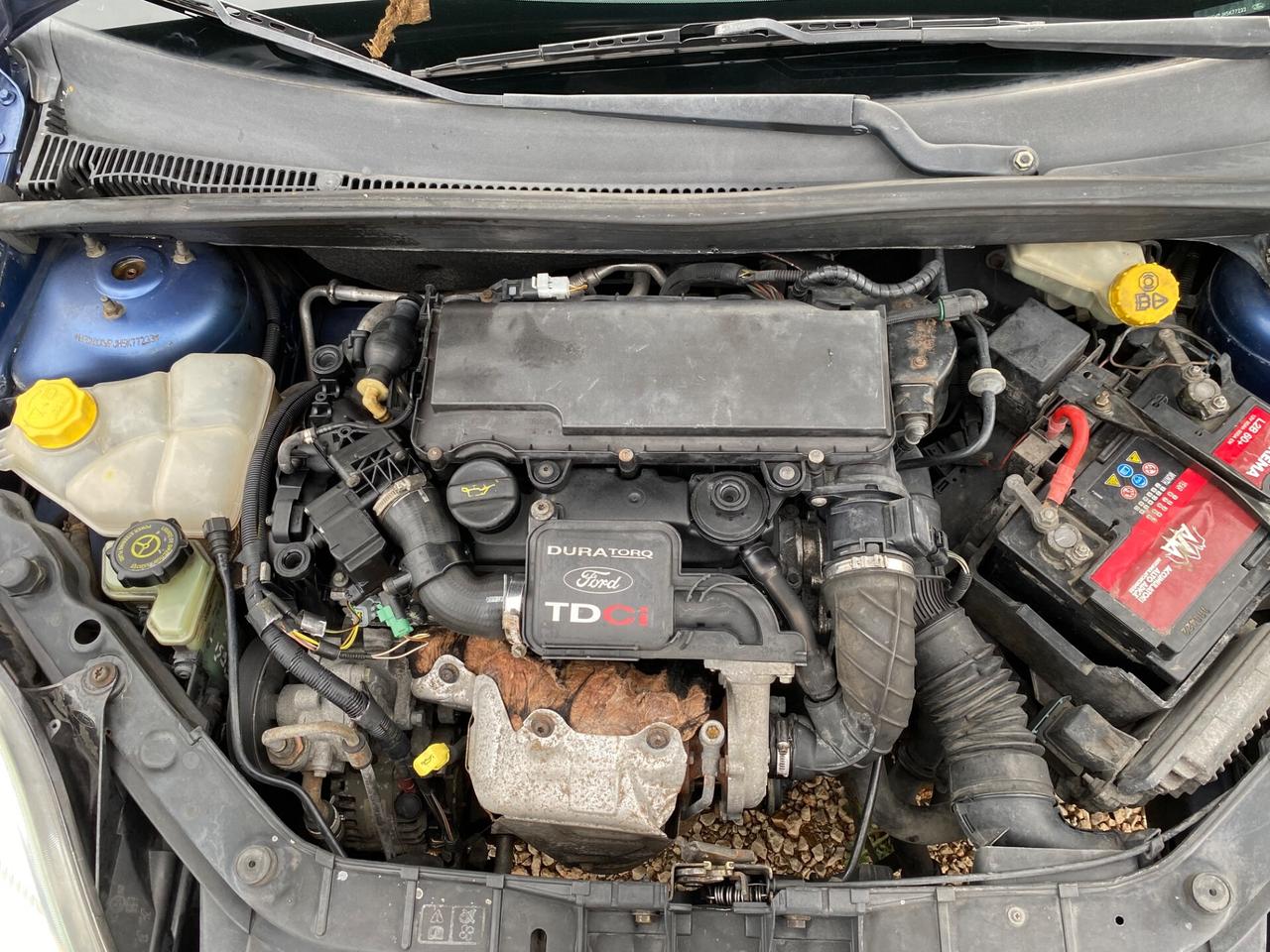 Ford Fiesta 1.4 TDCi 5p. Ghia