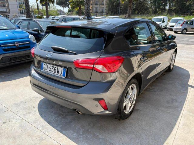 FORD Focus 1.5 EcoBlue 120 CV 5p. Business