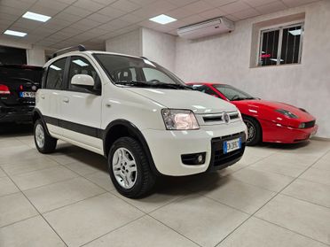 Fiat Panda 1.3 MJT 4x4 Van Active Trekking 2 posti