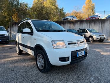 Fiat Panda 1.3 MJT 16V DPF 4x4 Climbing