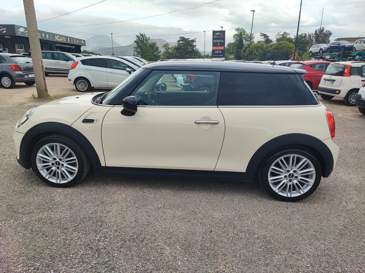 Mini 1.5 One D Hype