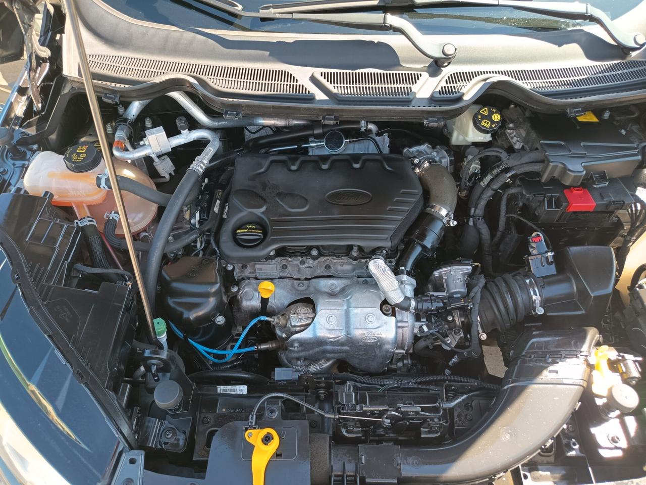 Ford EcoSport 1.5 Ecoblue 95 CV Start&Stop ST-Line
