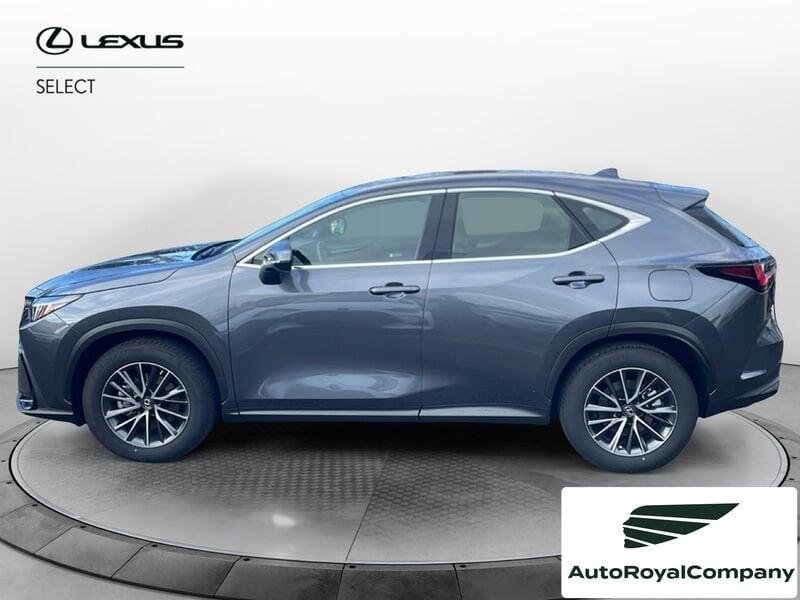 Lexus NX Hybrid Business+ 4WD IVA ESPOSTA KM 13900