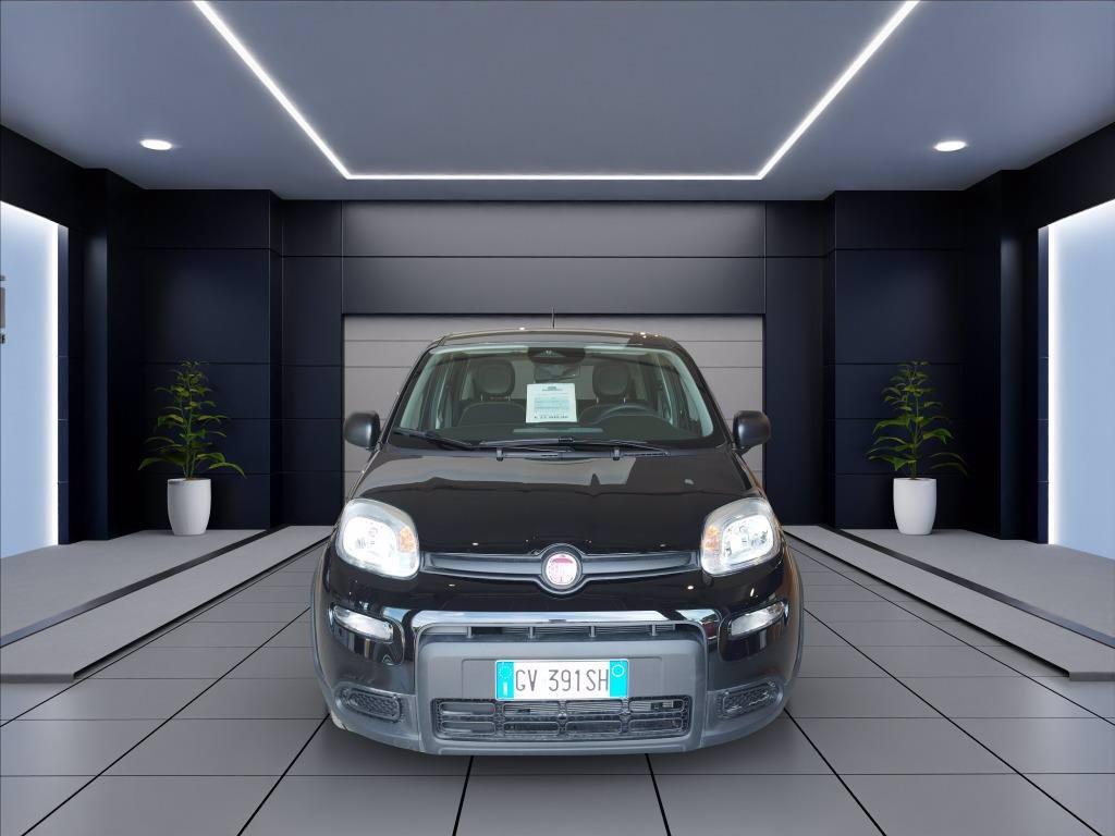 FIAT Panda 1.0 firefly hybrid s&s 70cv del 2024