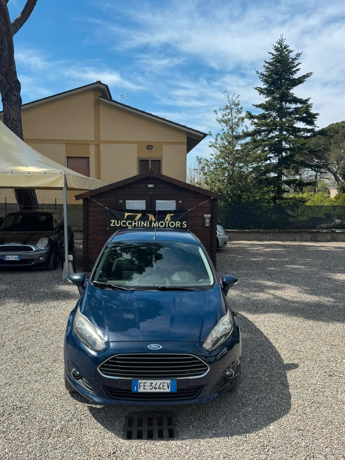 Ford Fiesta 1.5 TDCi 75CV 5 porte Black & White Edition EURO 6B