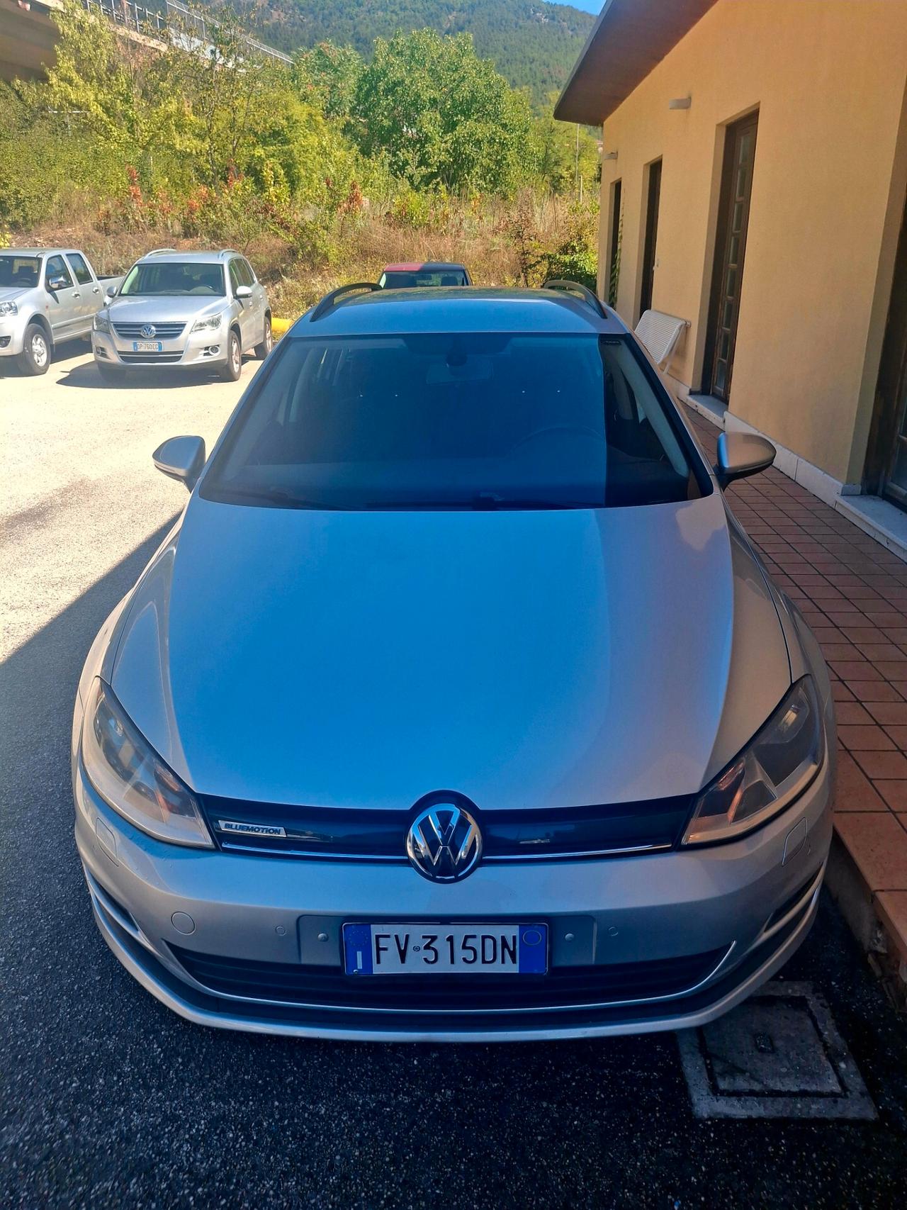 Volkswagen Golf Variant Business 1.6 TDI 5p. Comfortline BlueMotion Technology