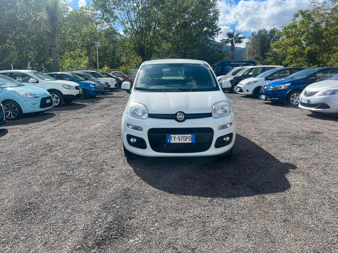Fiat Panda 1.2 Benz 2019