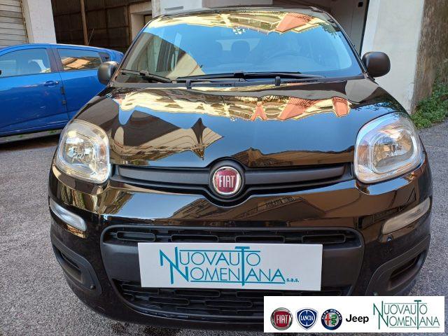 FIAT Panda 1.0 FireFly S&S Hybrid Icon 5°Posto Auto Nuova