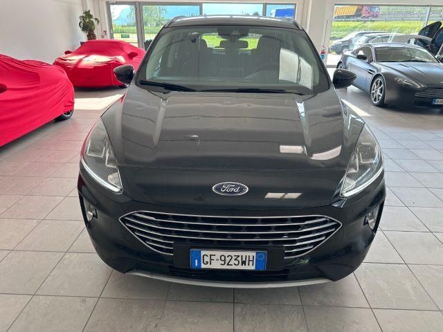 FORD Kuga 1.5 EcoBlue 120 CV aut. 2WD Titanium Business